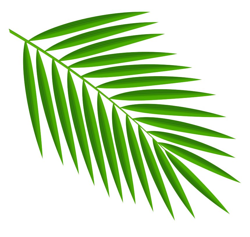 Palm Leaf Right